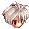 Crono